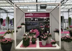 PAC showed their varieties at the location of Westhoff in Südlohn-Oeding, Germany. "Our main topics were our 130th anniversary and we showed some breeding of the past and of course many new varieties as th interspecific Pelargoniumline TWOinONE and the Pot-Petunia Prettytoonia", says Antonia Feindura.